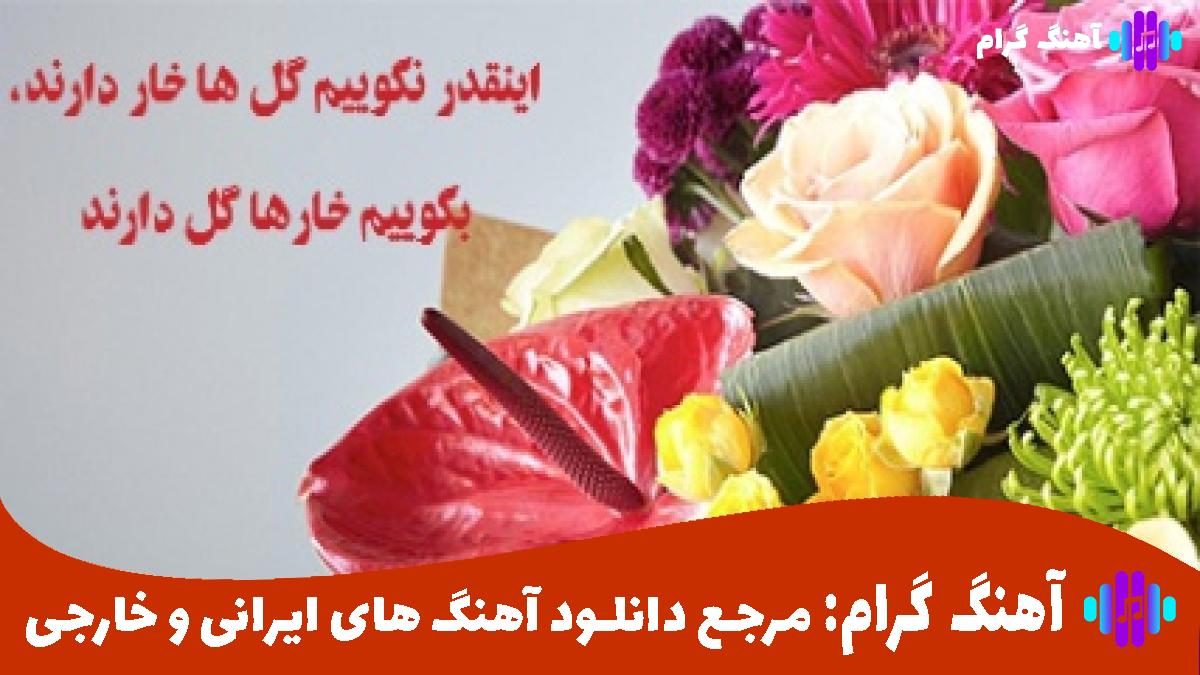 کاور آهنگ نگو تمومه عمر آشنایی از شادمهر عقیلی و هایده